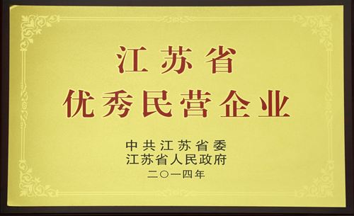 江蘇省優(yōu)秀民營企業(yè)